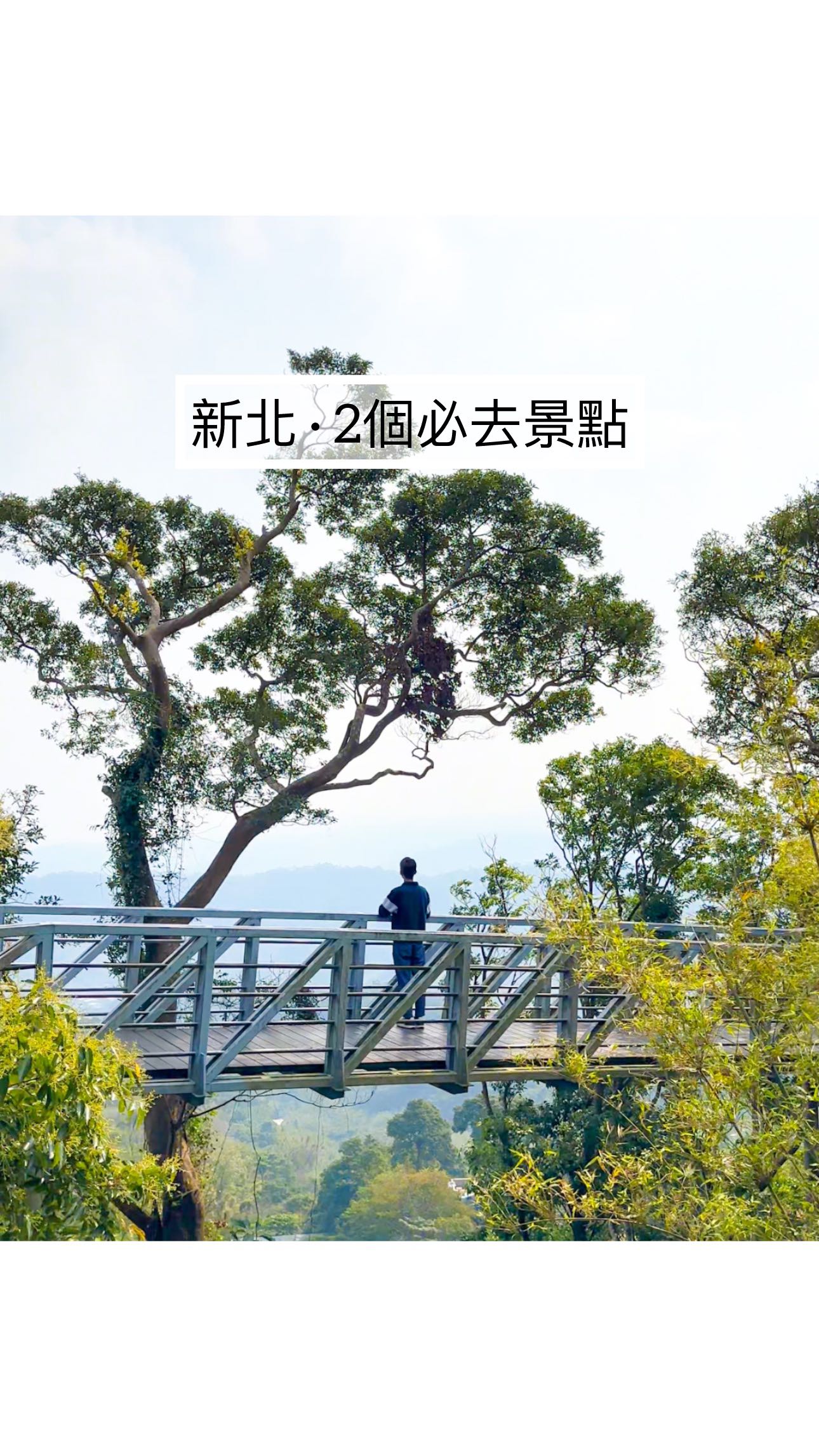 New Taipei Skywalk and Cat Cafe Adventure