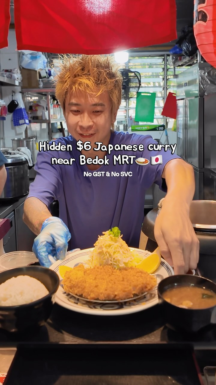 Affordable Japanese Donburi & Curry Near MRT Stations