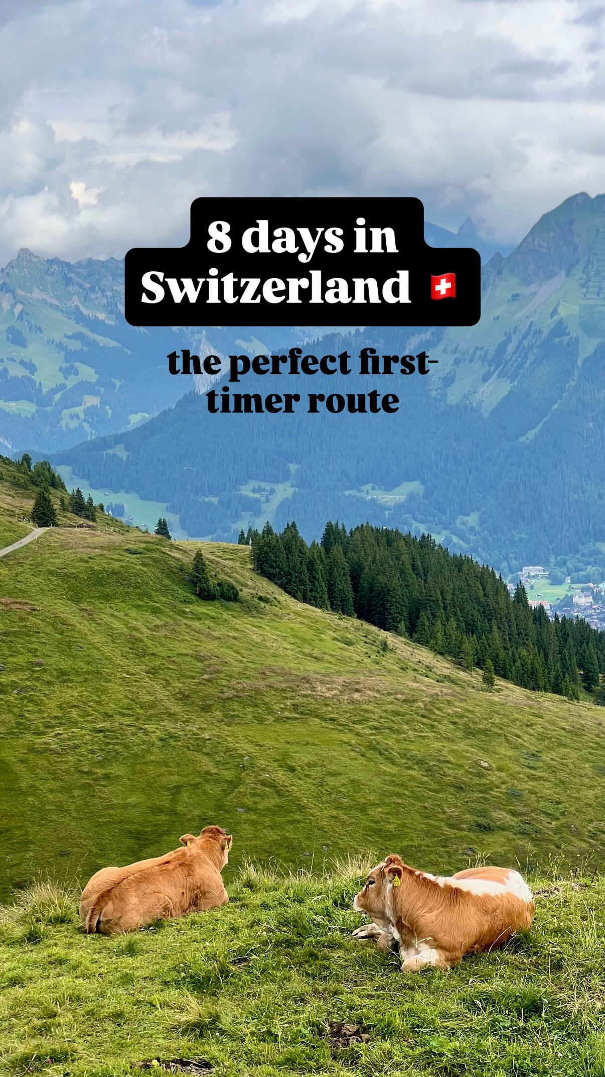 Swiss Itinerary: Lakes, Peaks, and Chocolate Adventures