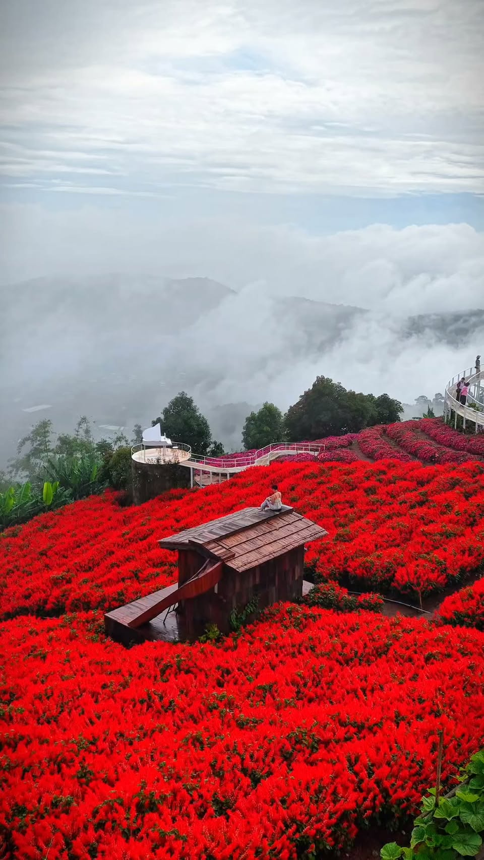 Chiang Mai Gardens Offer Mountain Views