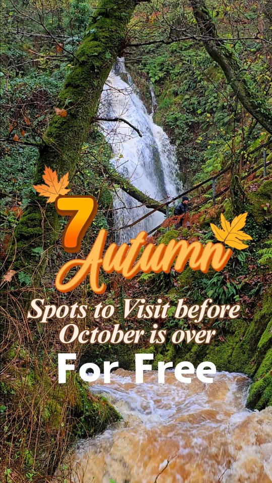 Seven Free Welsh Autumn Nature Destinations