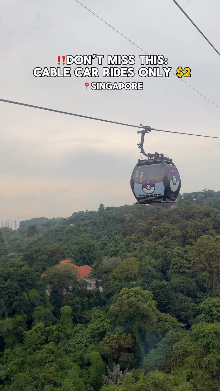 Singapore Cable Car Offers Scenic City Views