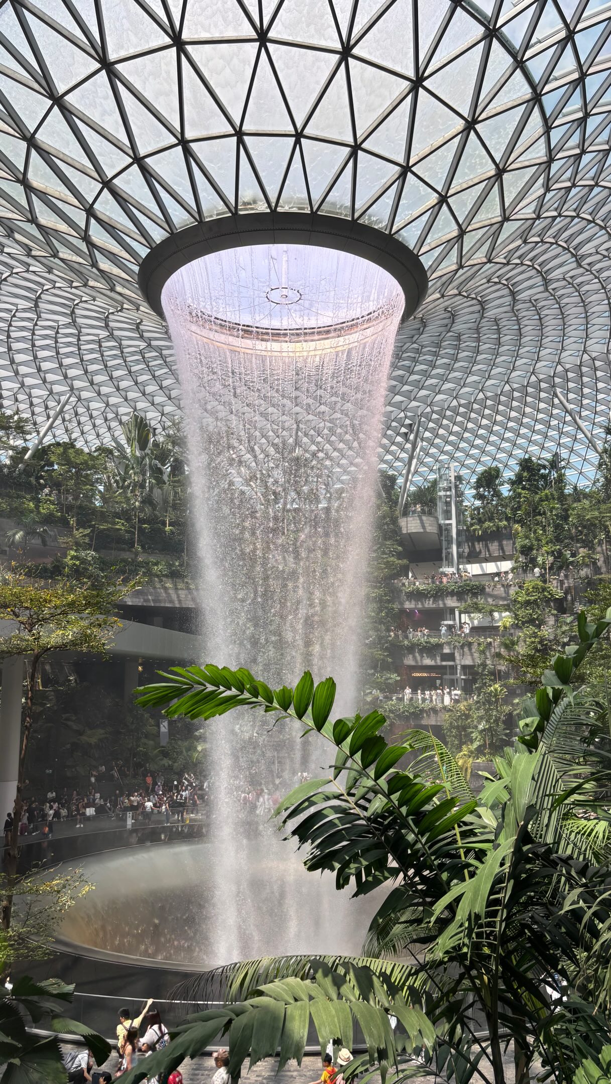 Singapore Changi Airport's Free Attractions
