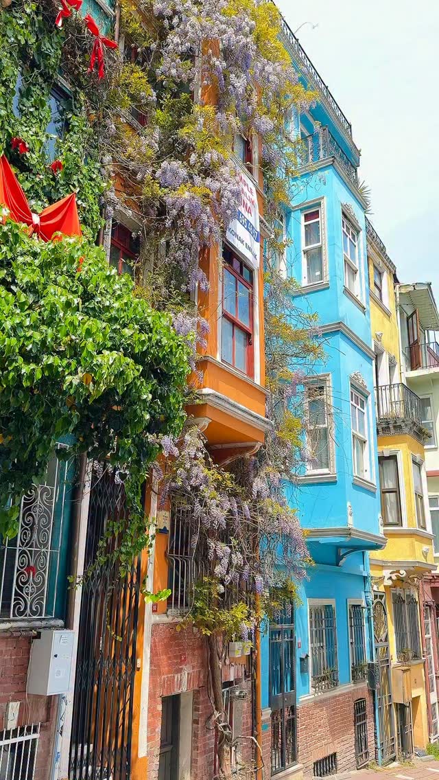 Explore Istanbul's Colorful and Historic Balat Neighborhood