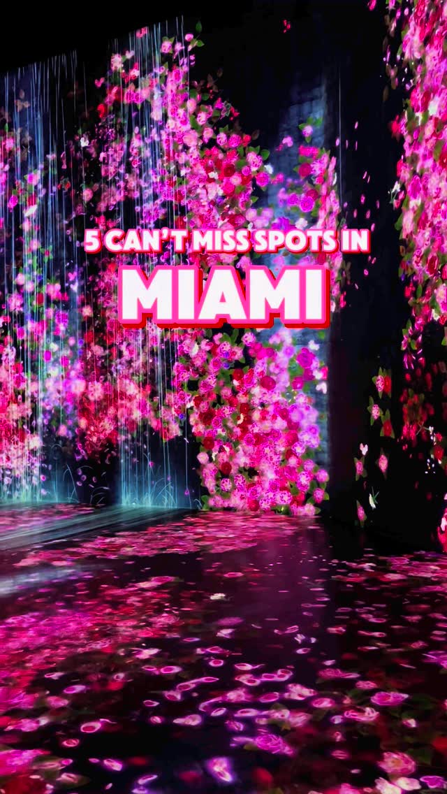 Miami Kid-Friendly Adventures: Parks, Art, and Tacos