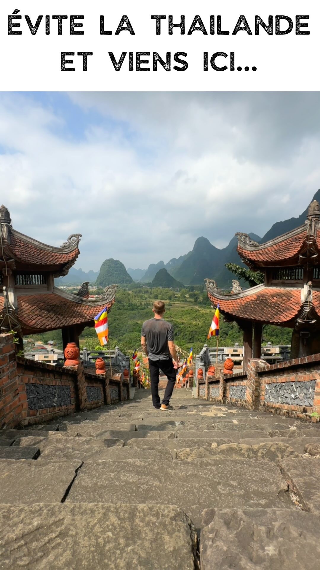 11 Attractions