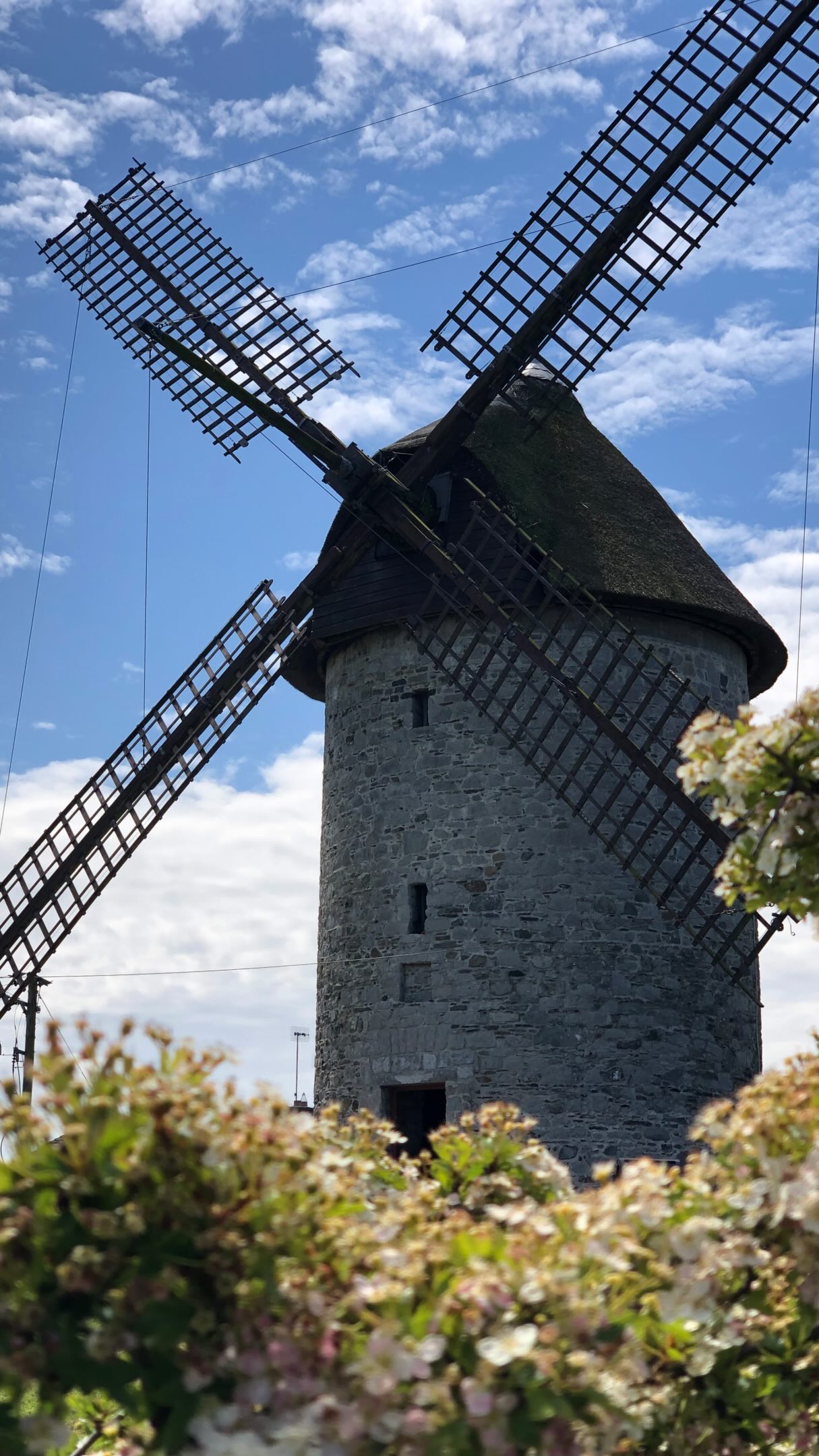 Car-Free Dublin Day Trip to Skerries Attractions
