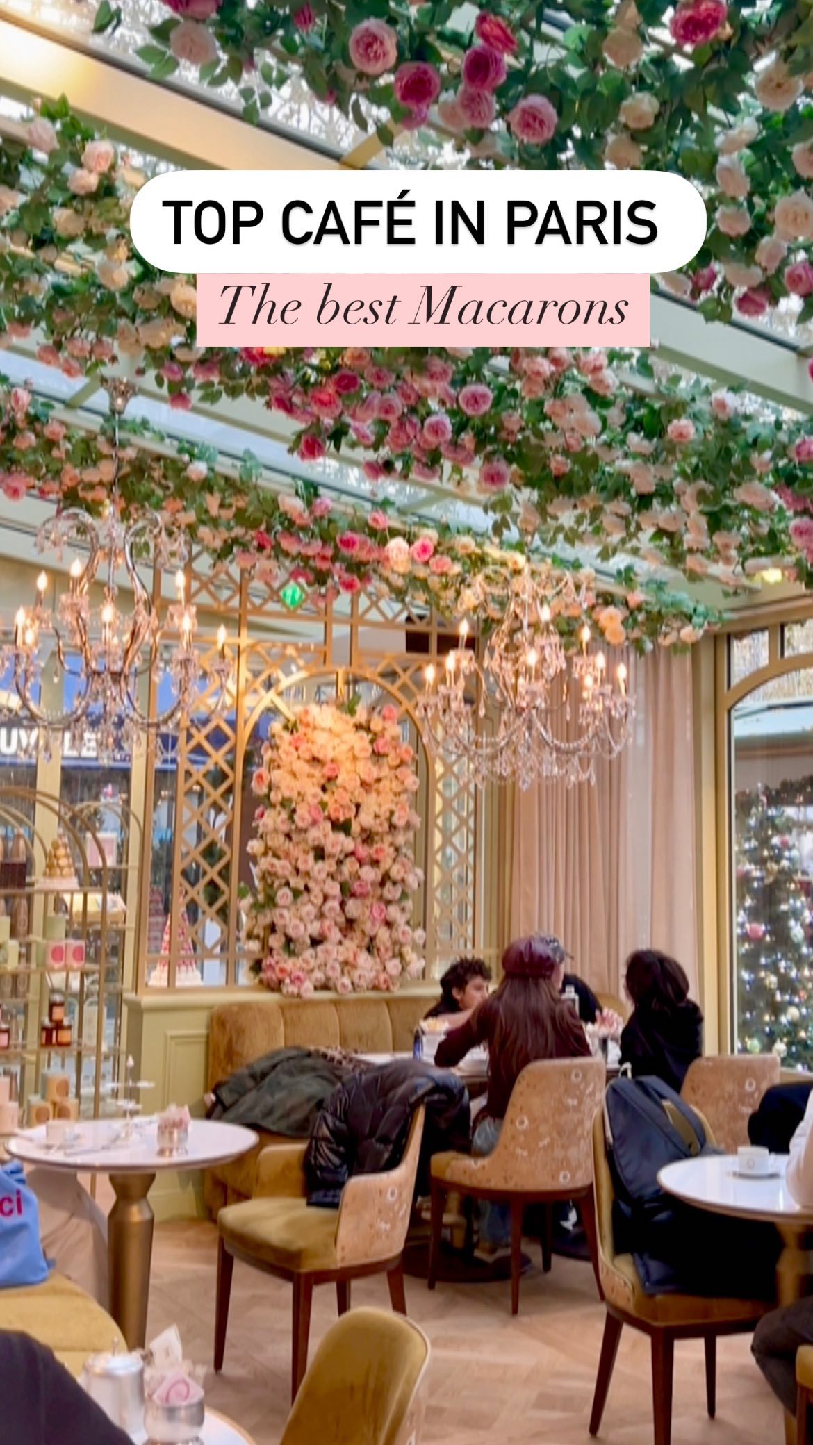 Paris's Top Macaron Shops