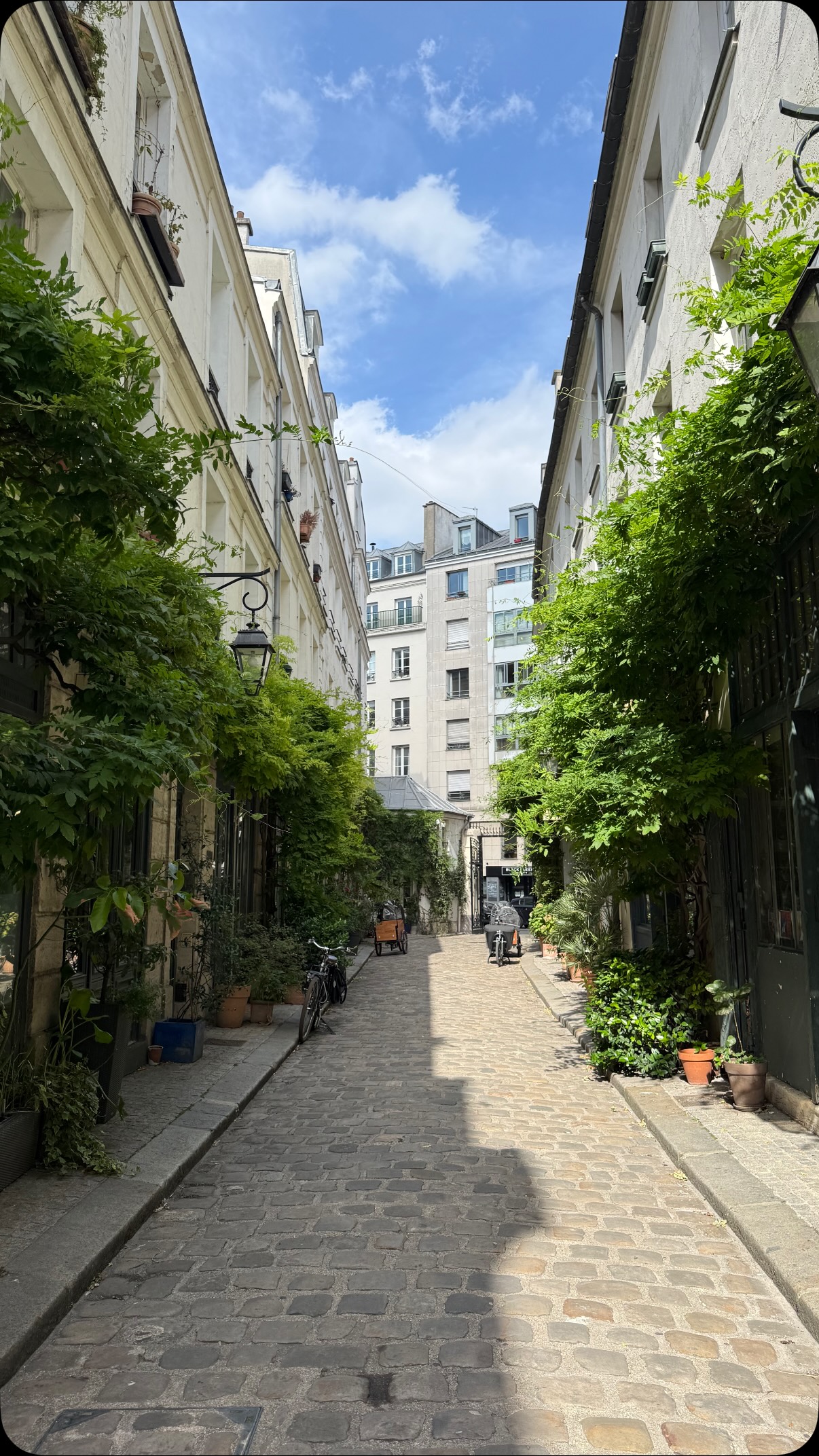 Paris's Top Free Attractions and Neighborhoods
