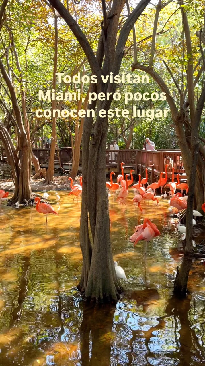 Jungle Island: Miami's Tropical Oasis