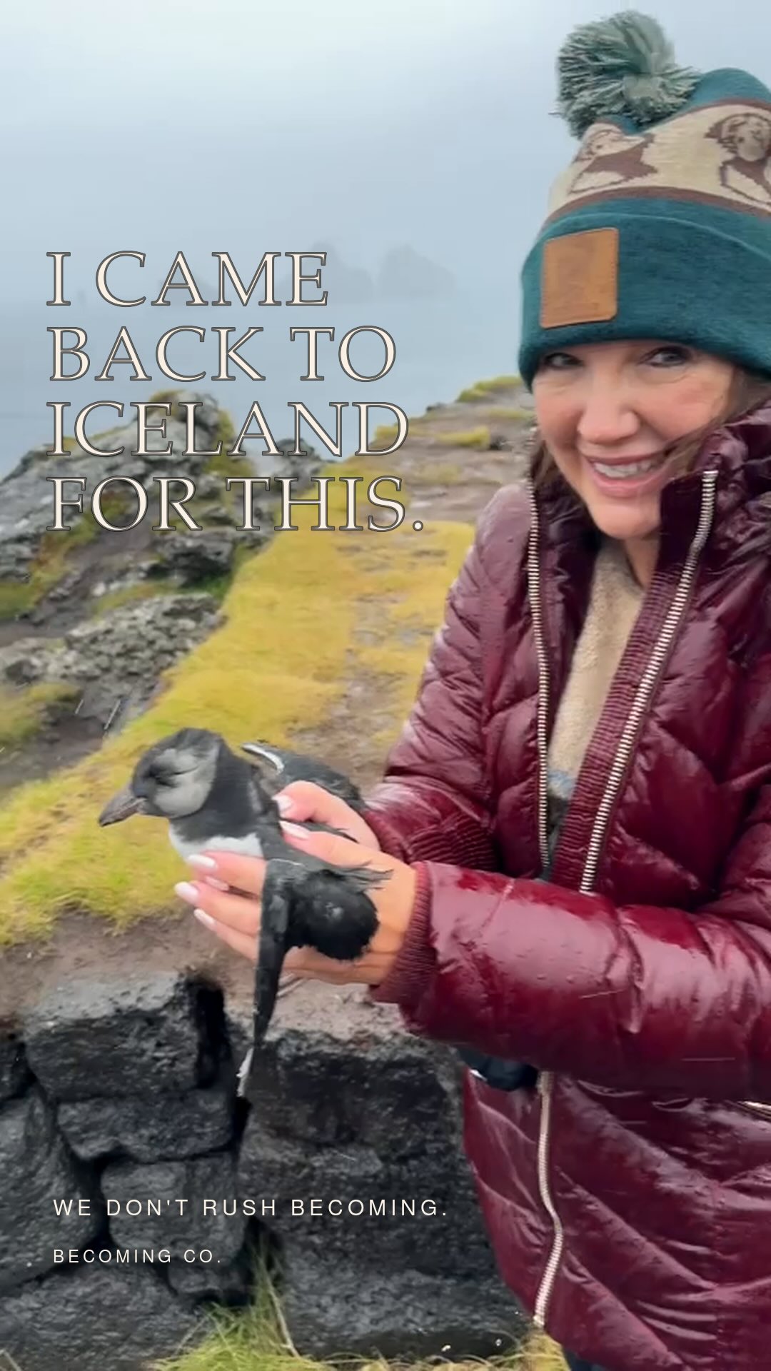 Icelandic Pufflings and Dramatic Rock Formations