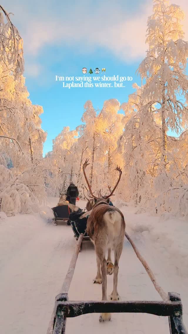 Lapland Arctic Adventures and Winter Wonderland Stays