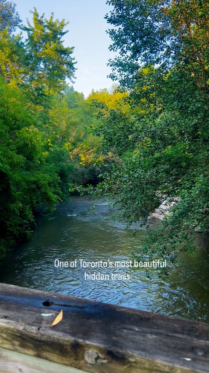 East Don River Trail: Toronto's Nature Escape