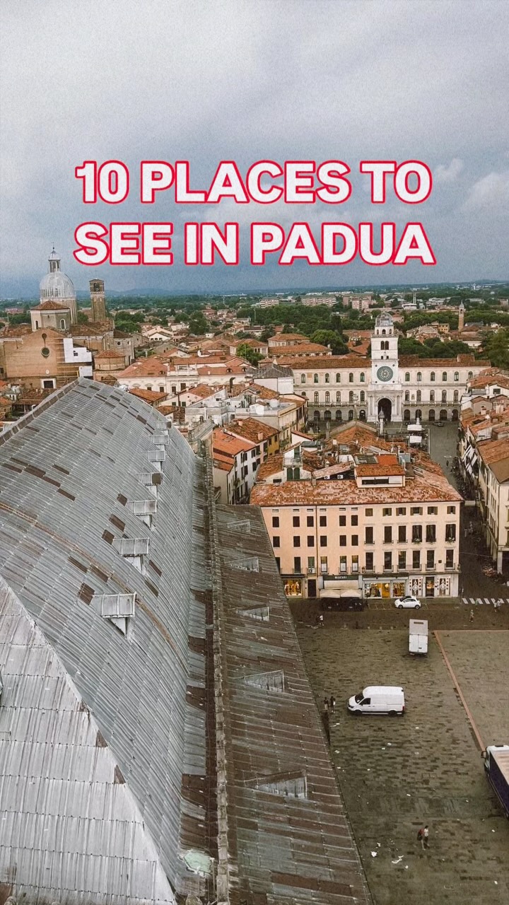 Padua's Historic Churches and Public Squares