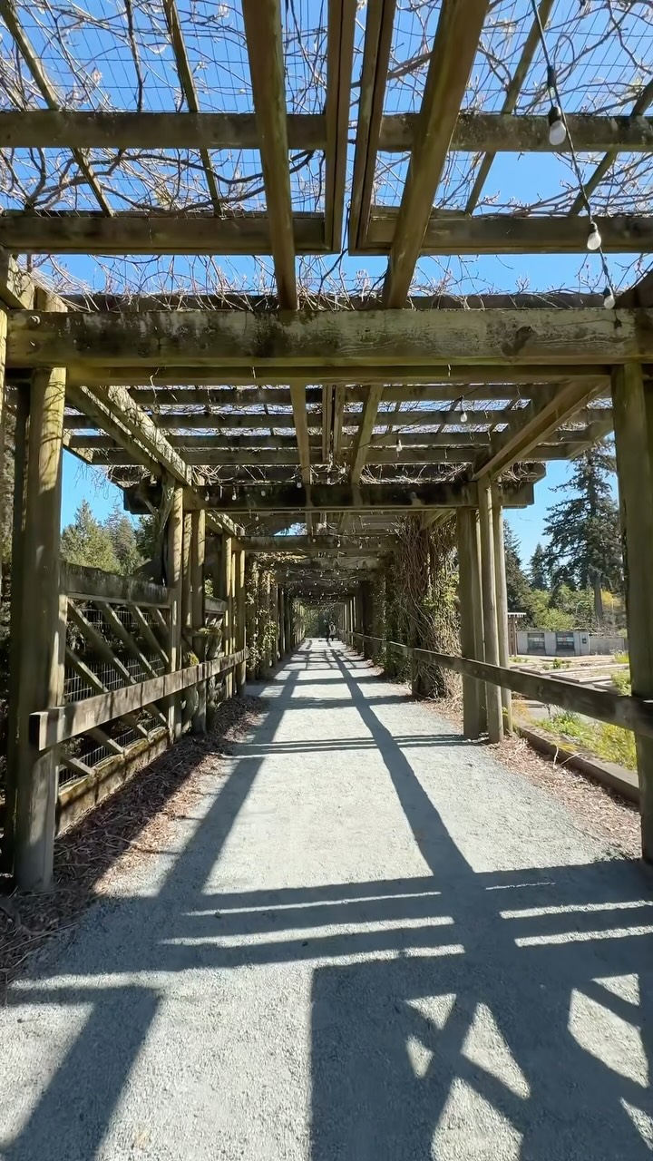 Vancouver Treetop Walks And Botanical Gardens