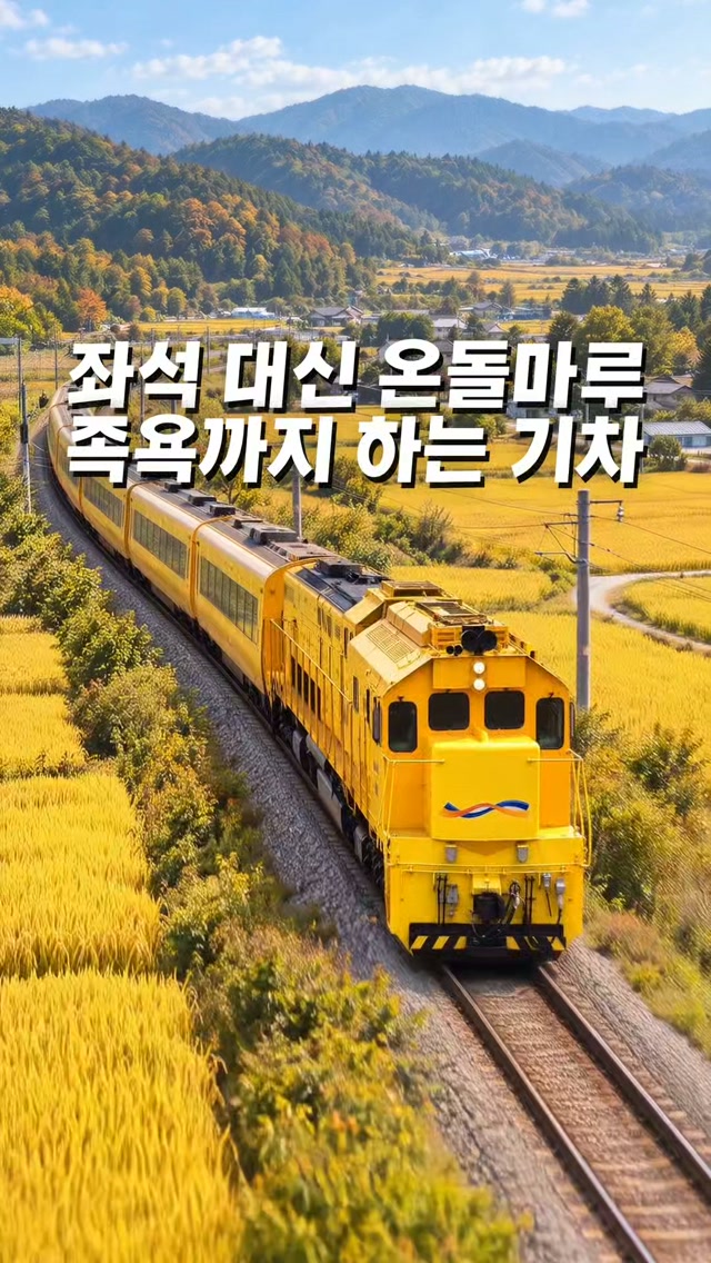 South Korean Train Tour With Bamboo Forest