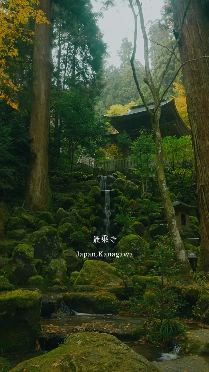 Daiyuzan Saijoji Temple's Natural Beauty