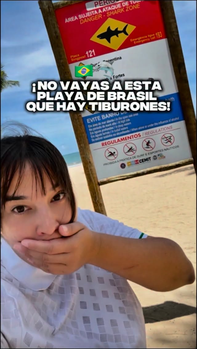 Maragogi's Safe Beaches Versus Recife's Shark Warnings