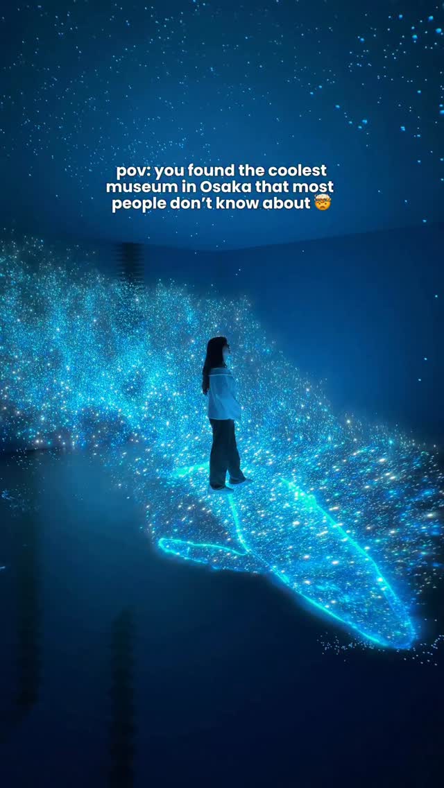 Miracle World Osaka: Digital Art Museum Experience