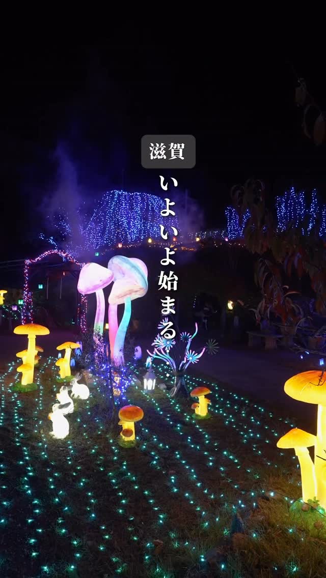 Illuminated Fairy Tale At Rosemary Tawada