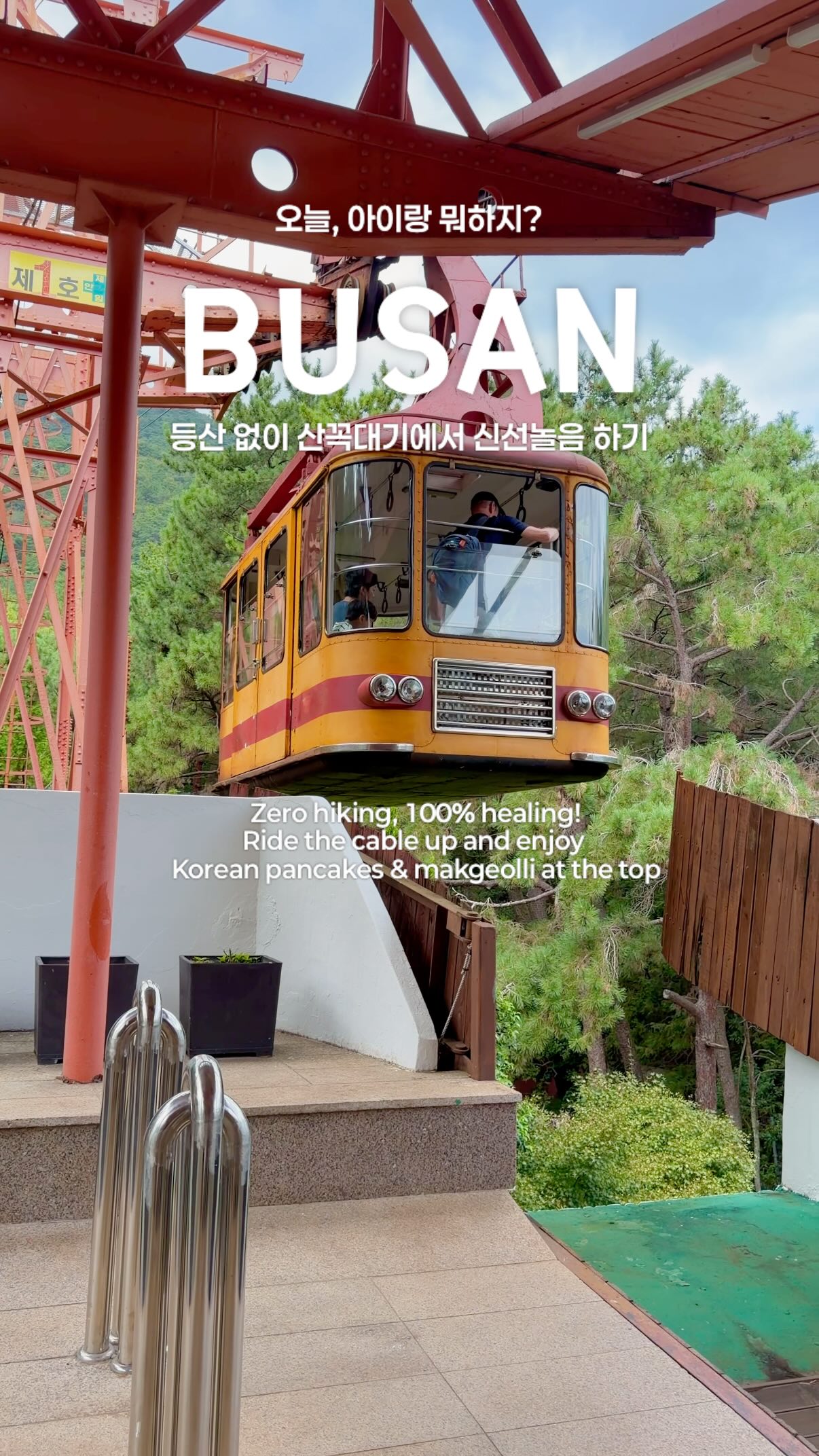 Busan Cable Car Ride to Mountaintop Delights