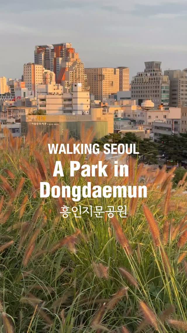 Seoul Fortress Wall Parks And DDP