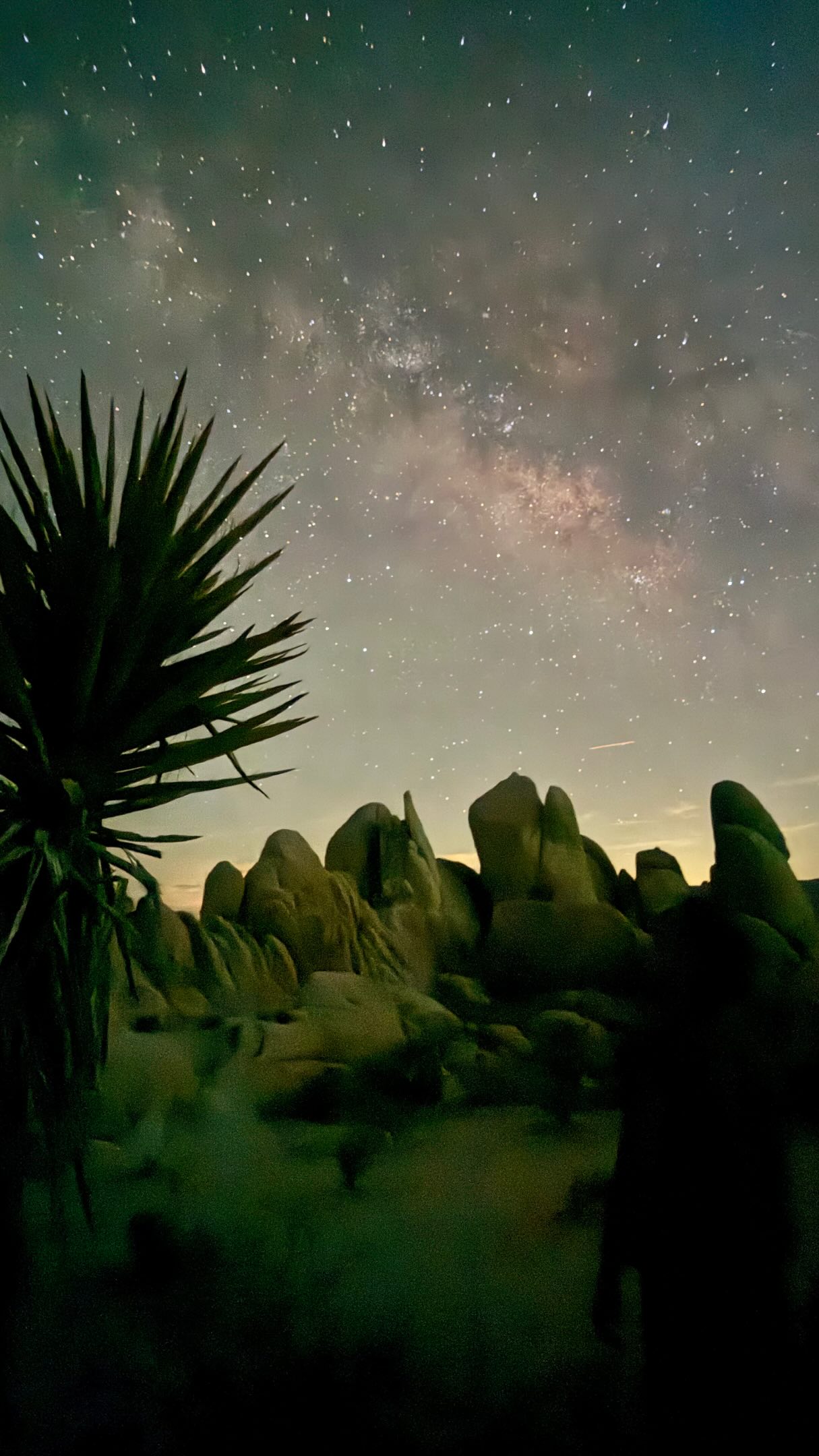 Joshua Tree National Park For Stunning Night Sky Views