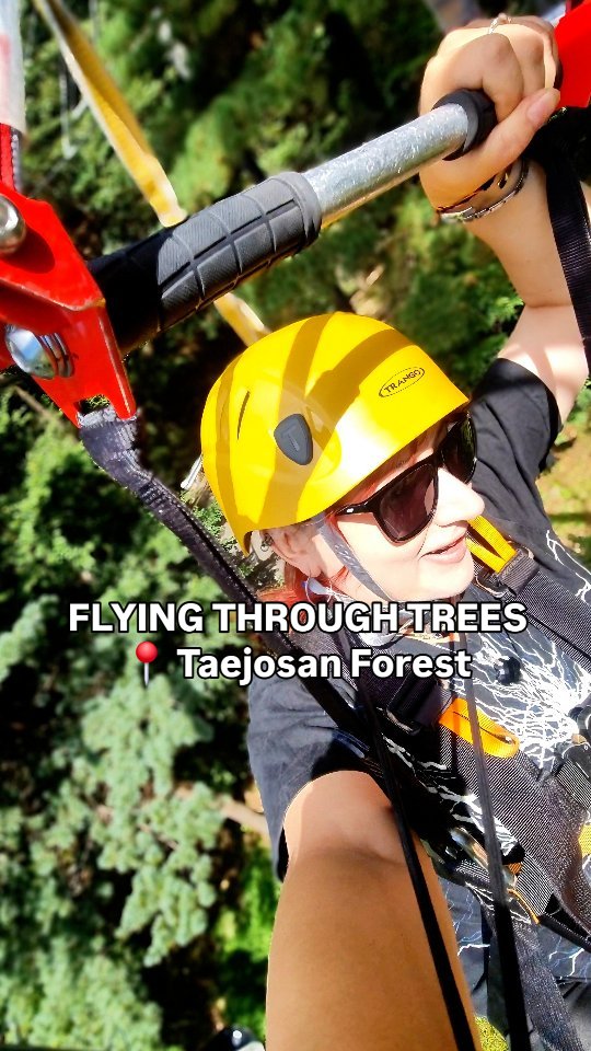 Taejosan Park Zipcoaster Adventure