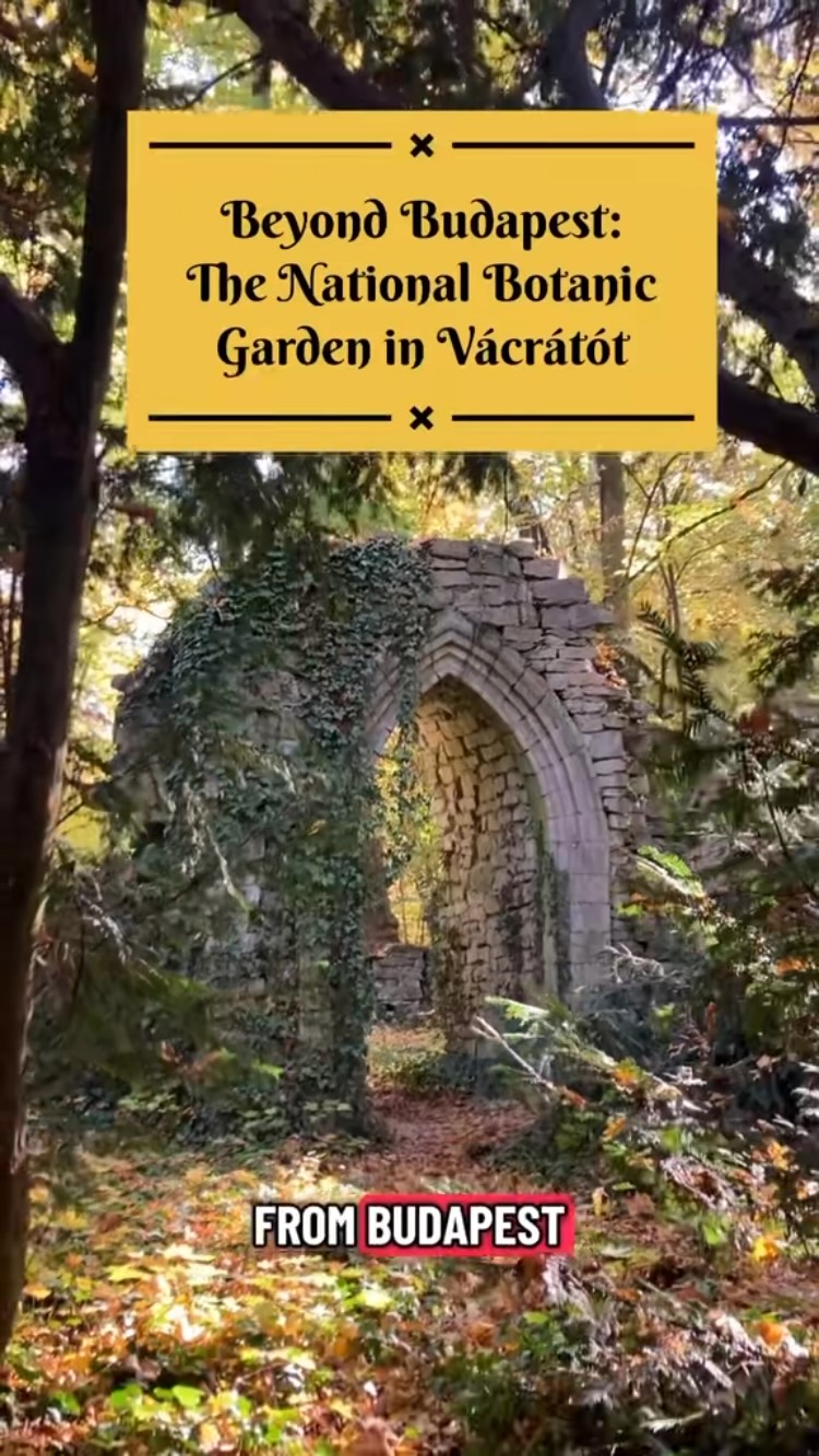 Hungary's Enchanted Botanical Garden