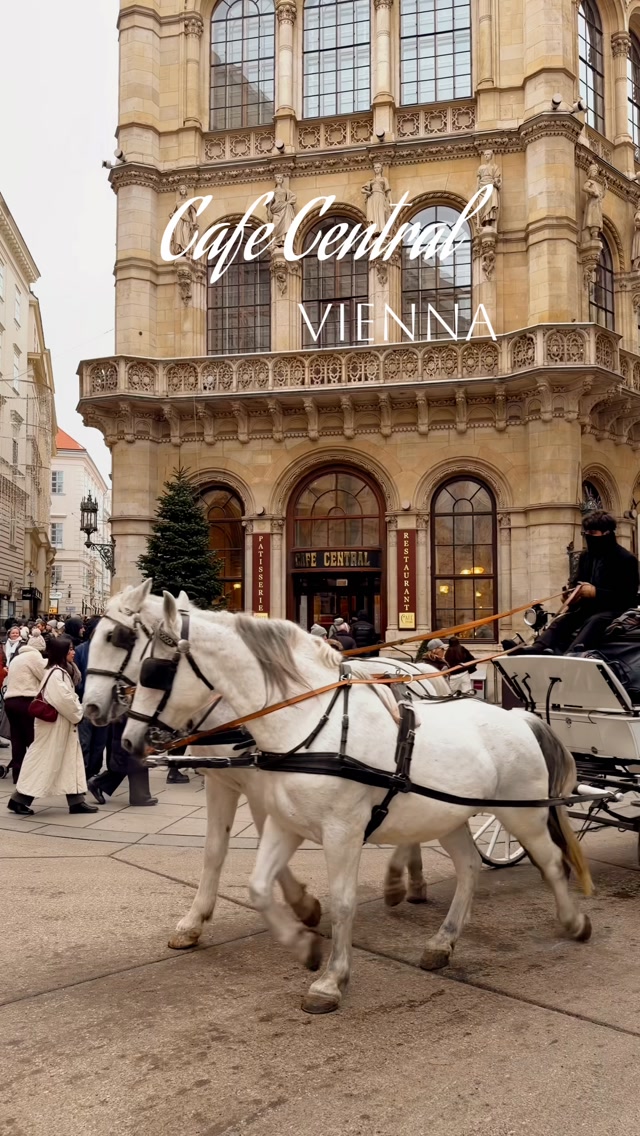 Iconic Viennese Cafe Central Features Historic Charm