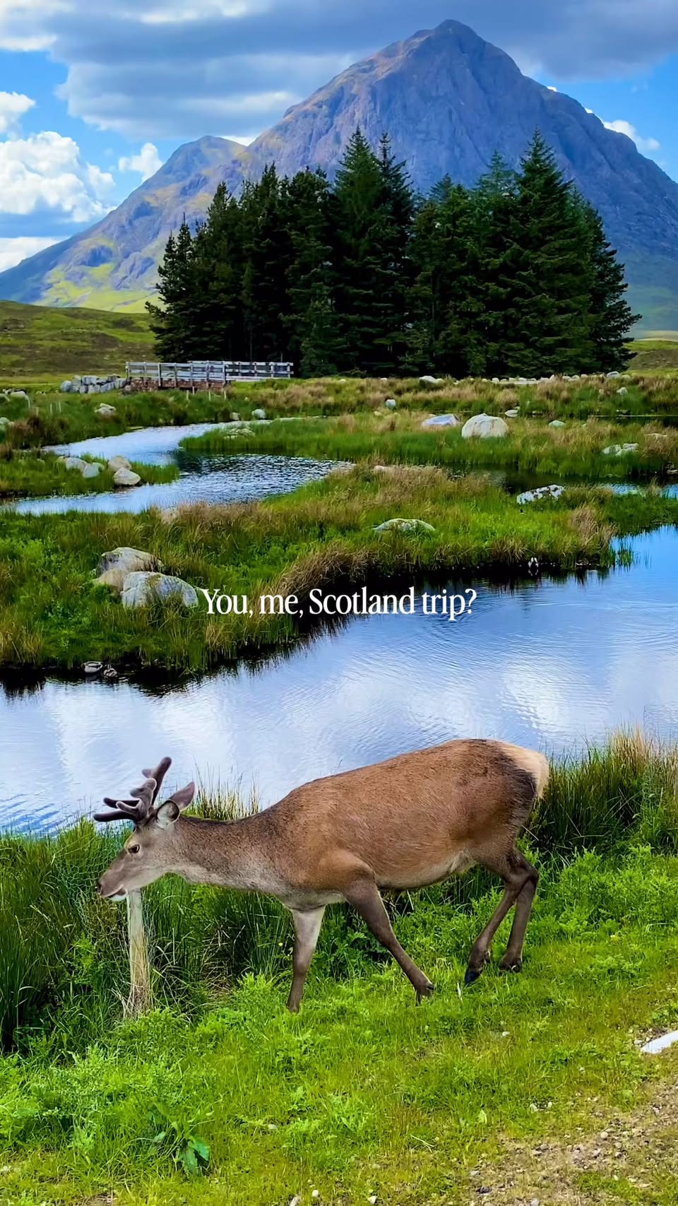 Scottish Castles, Lochs, and Coastal Wonders