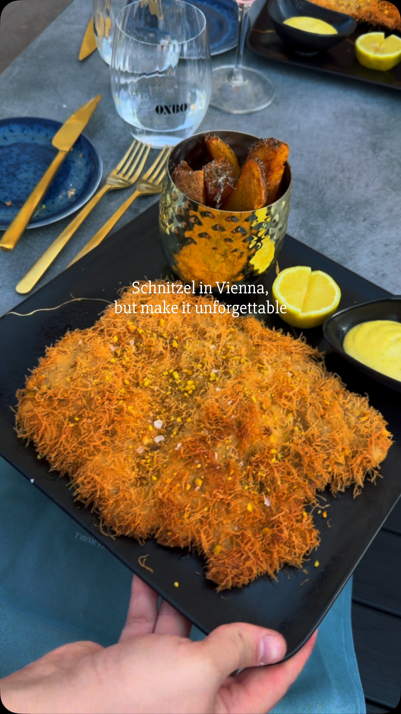 Vienna Waterfront Restaurants Showcase Unique Schnitzel