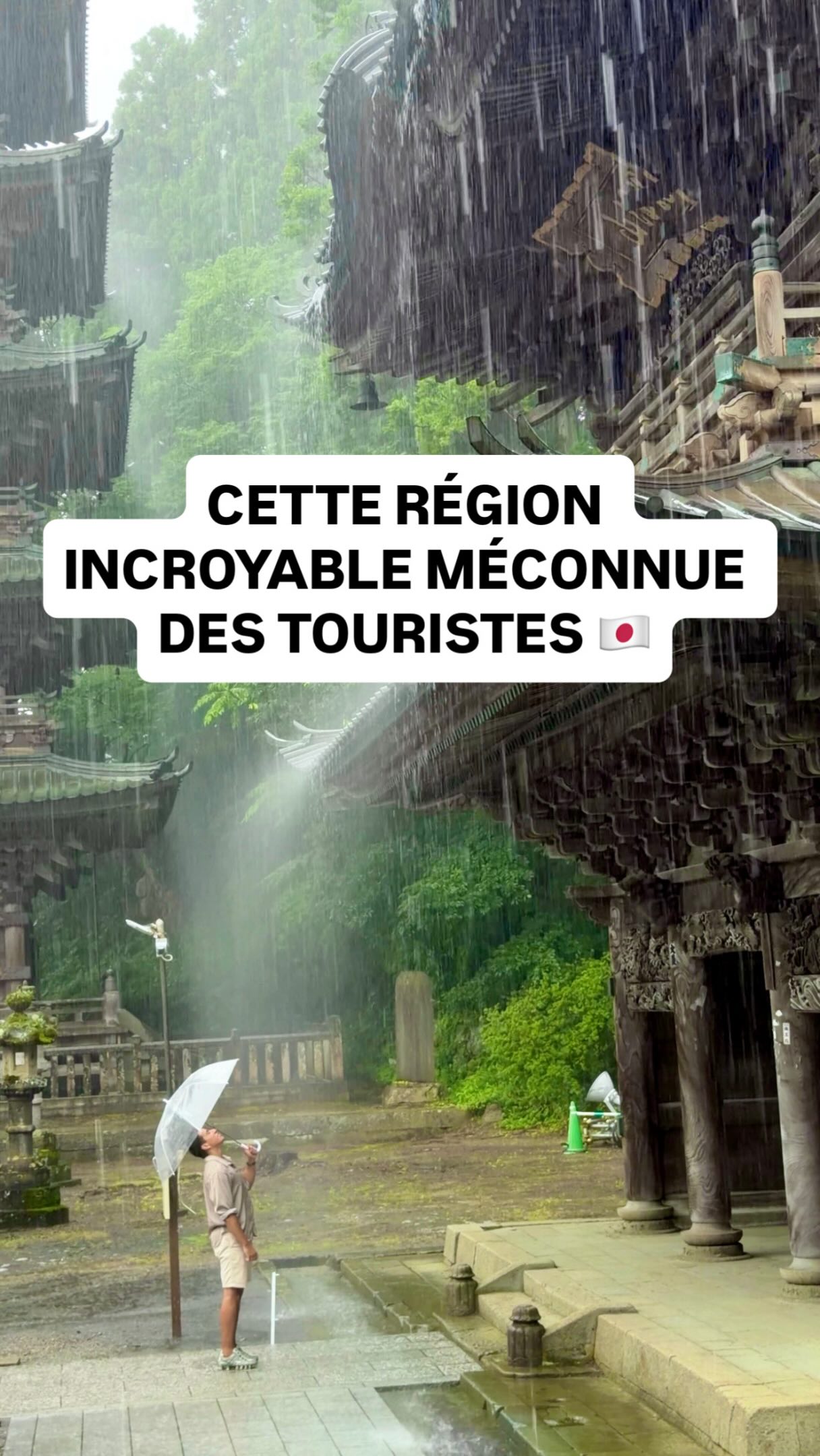 Shonai Region Gems: Temples, Food, and Culture