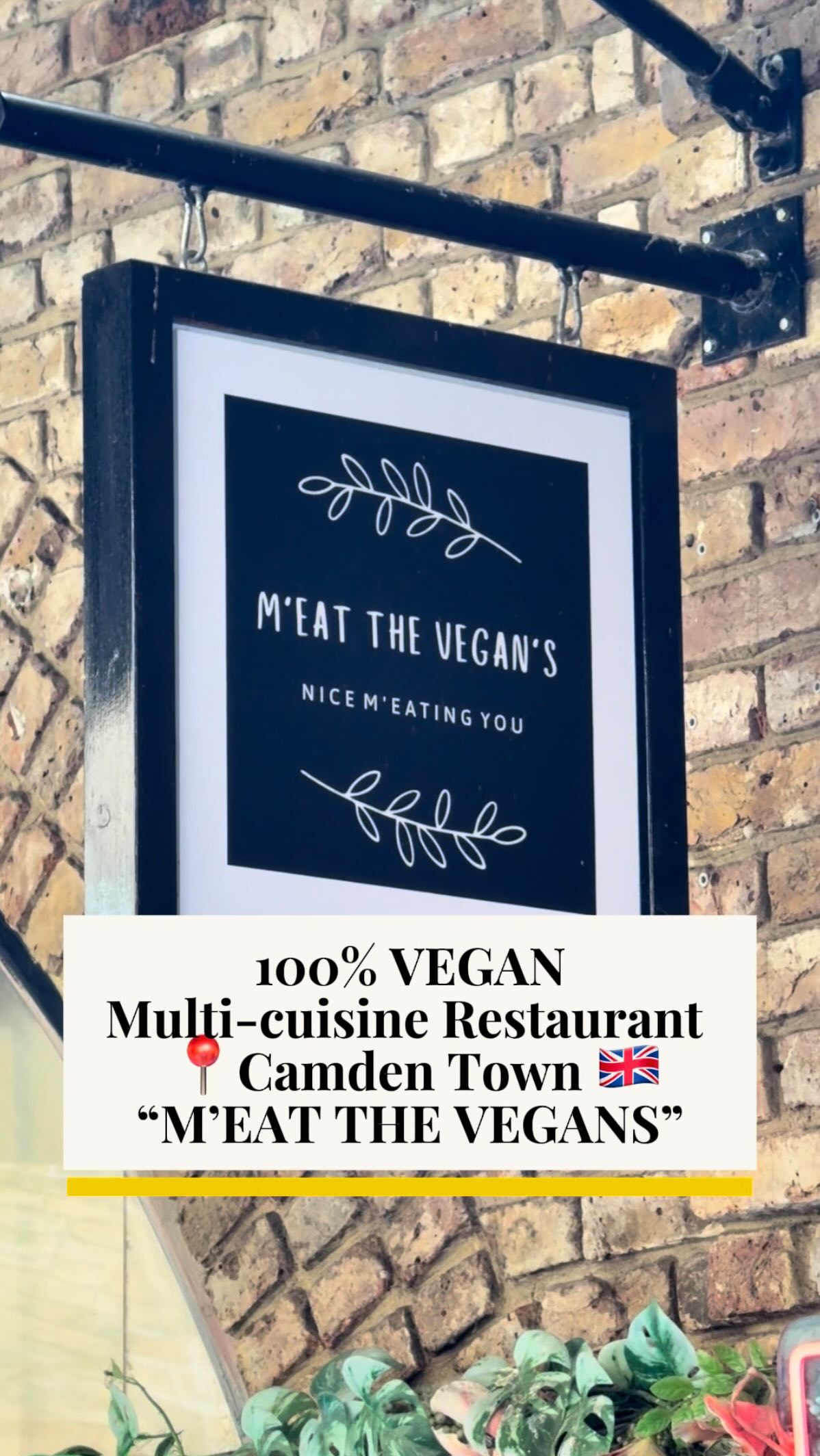 Meat The Vegans: A Multicuisine Vegan Gem