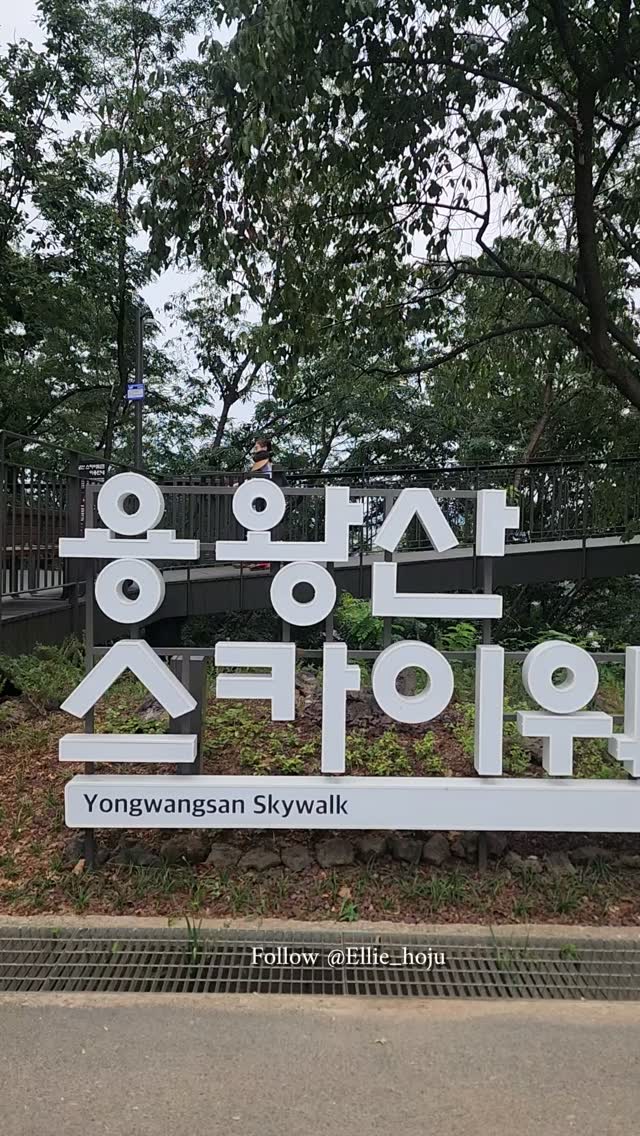 Seoul's Parks and Bridges Offer Scenic Views