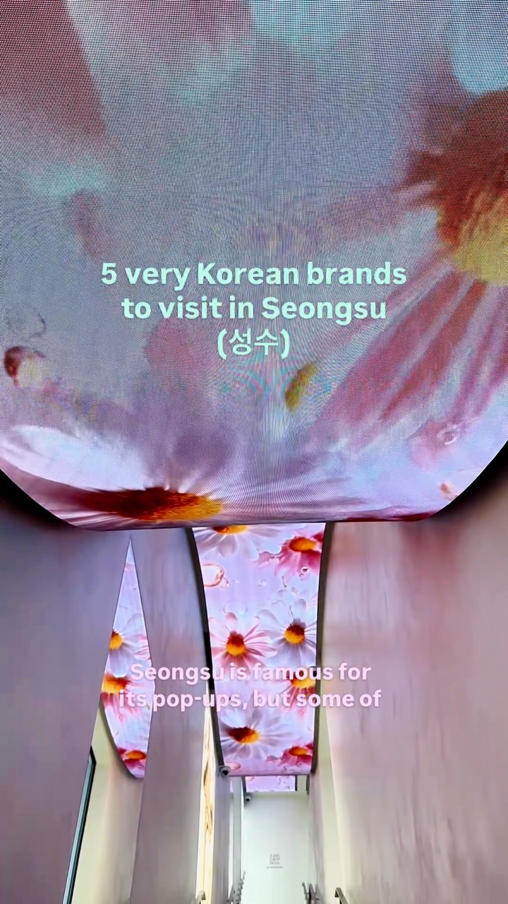 Korean Brands in Seongsu: Beauty, Food, and Design