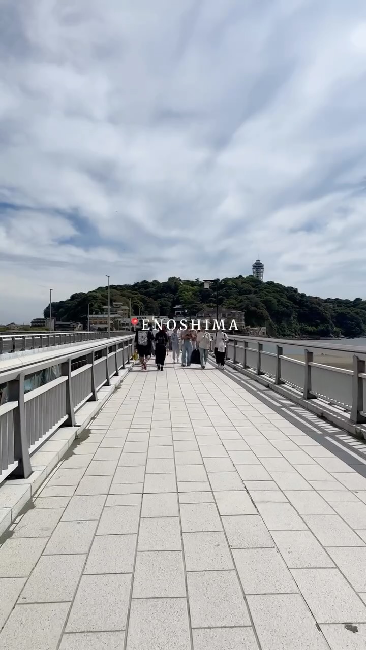 Enoshima Island and Tokyo Area Attractions