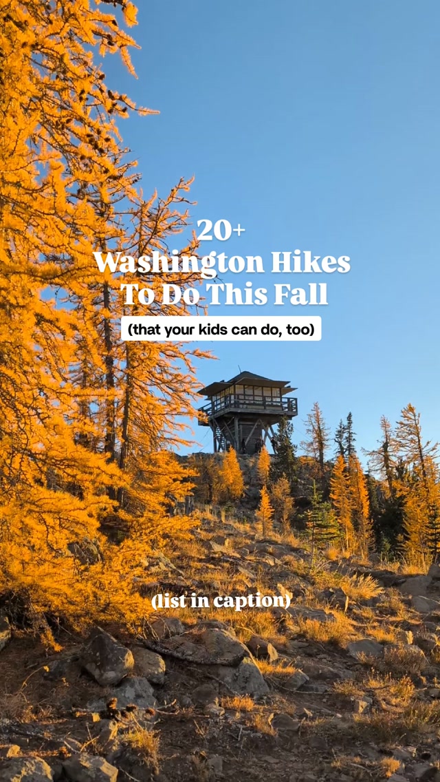 Six Seattle Area Parks For Fall Hikes