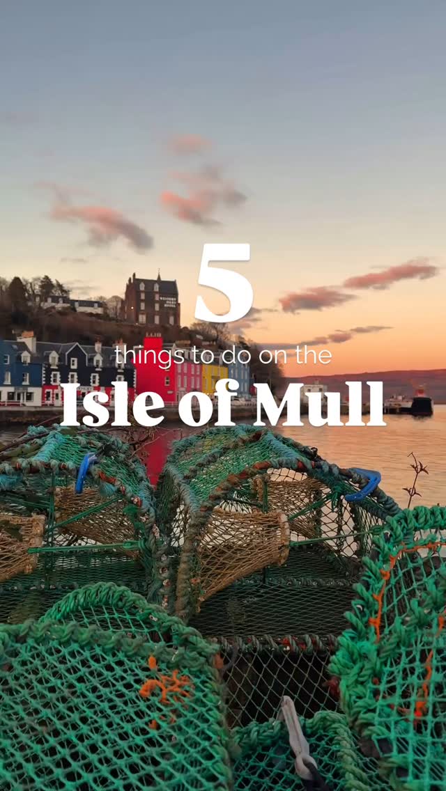 Scottish Island Scenery and Distilleries