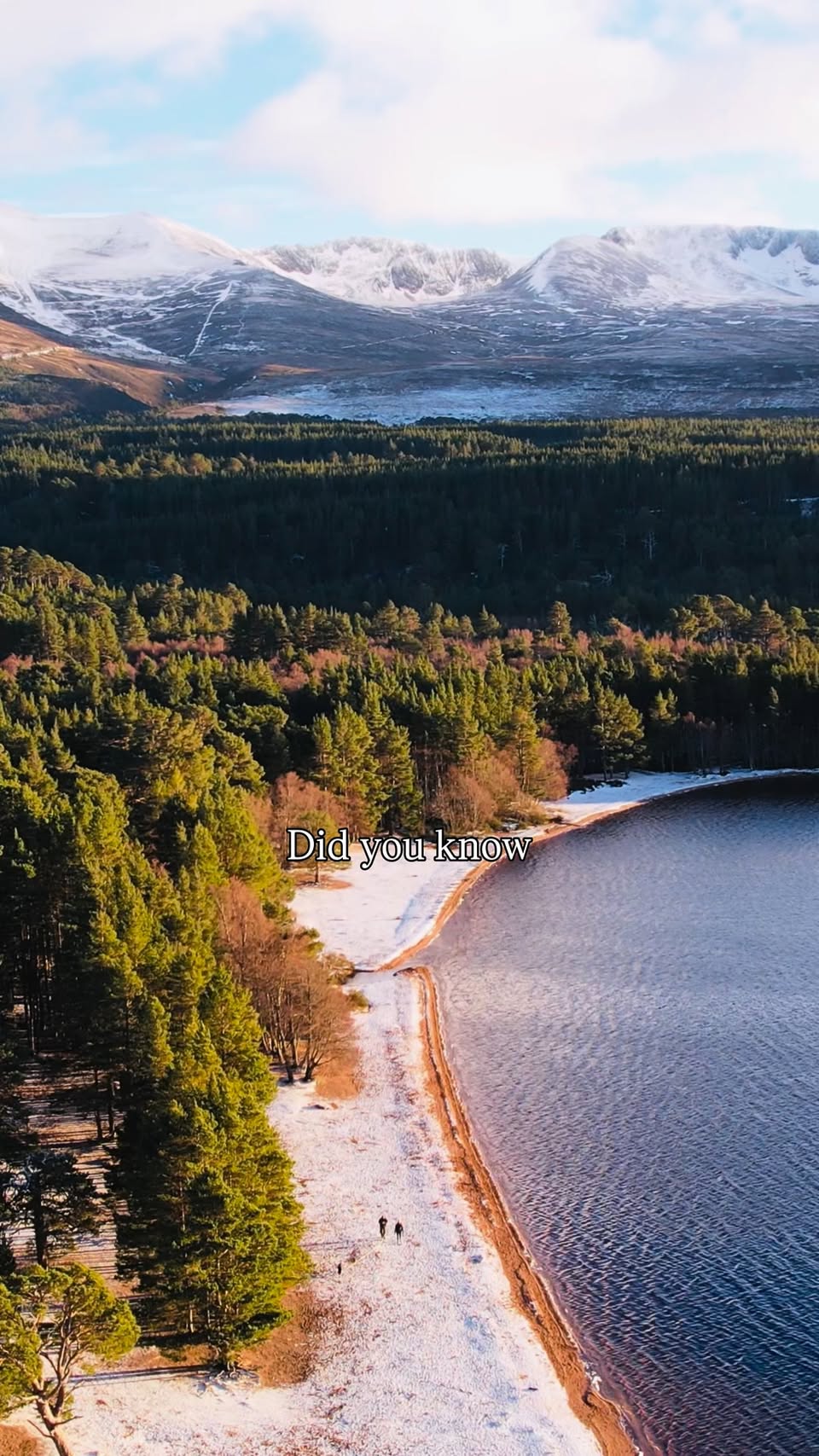 Loch Morlich's Scottish Highland Beauty