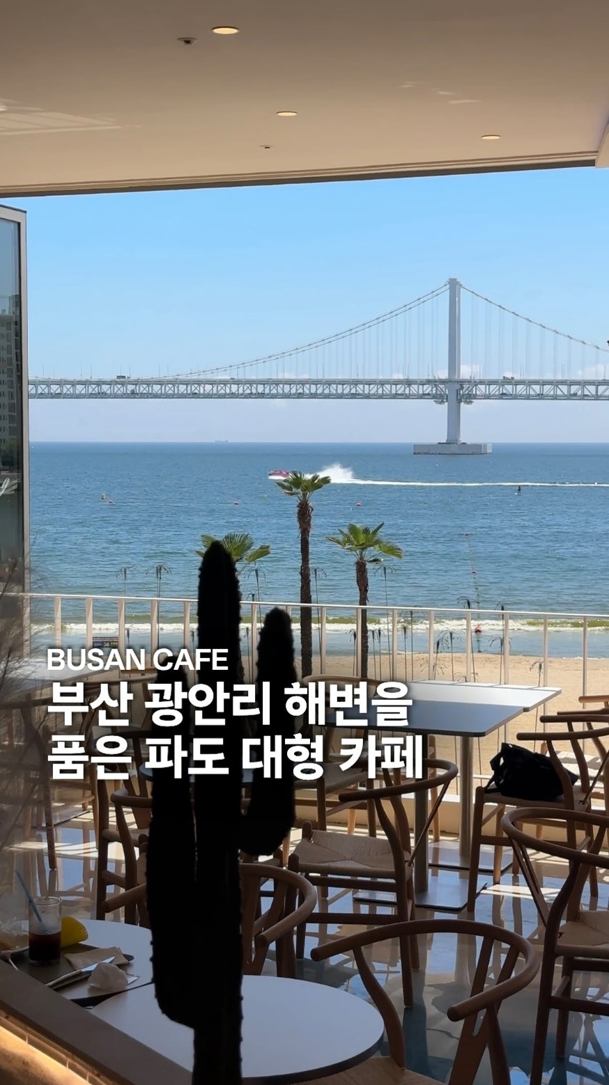 Beaches and Ocean Views in Busan