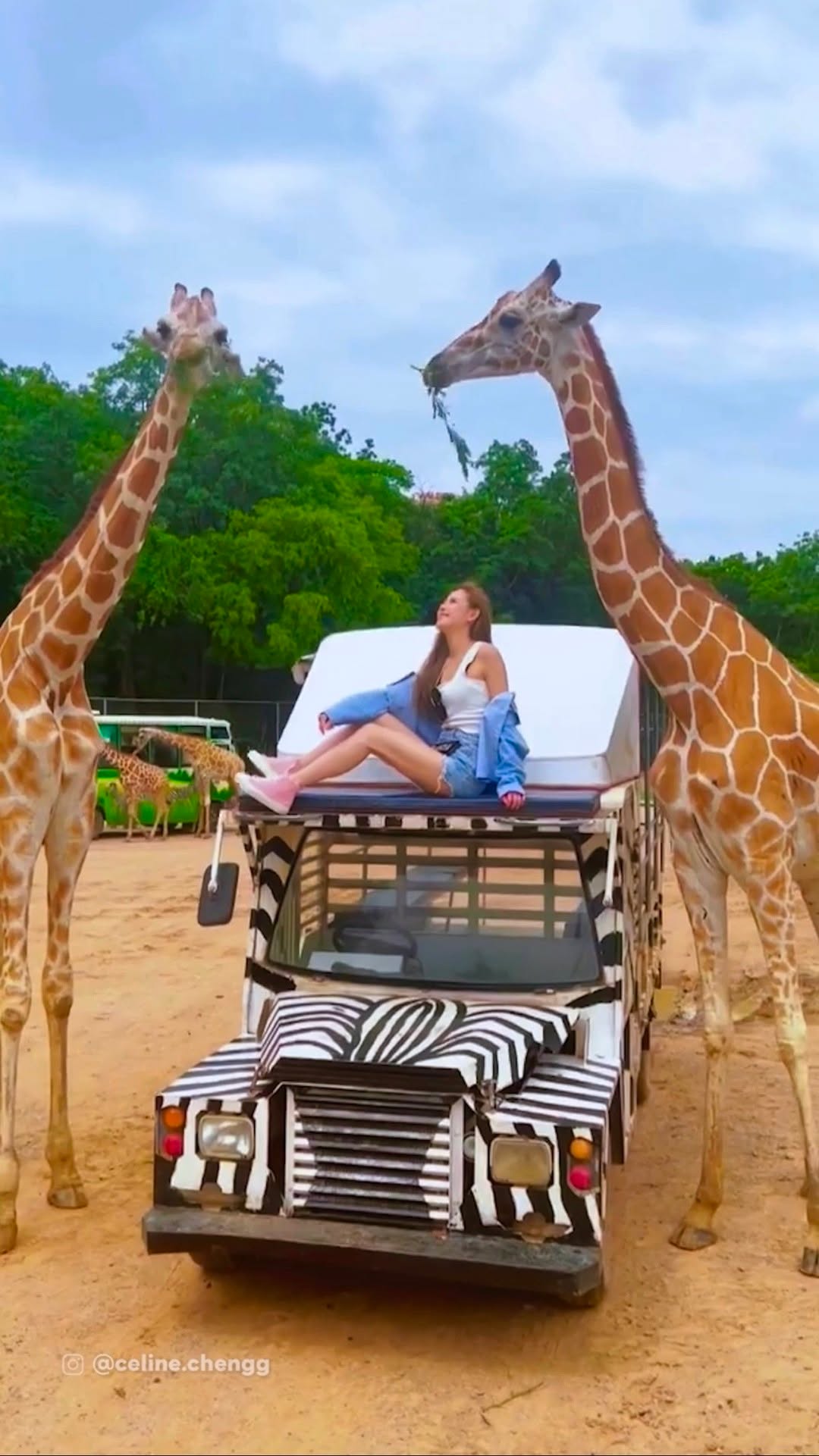 Bangkok Excursions: Safari Park and River Cruise