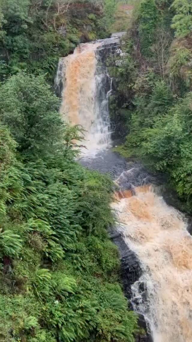 Scottish Island Waterfall Plunges Through Forested Gorge