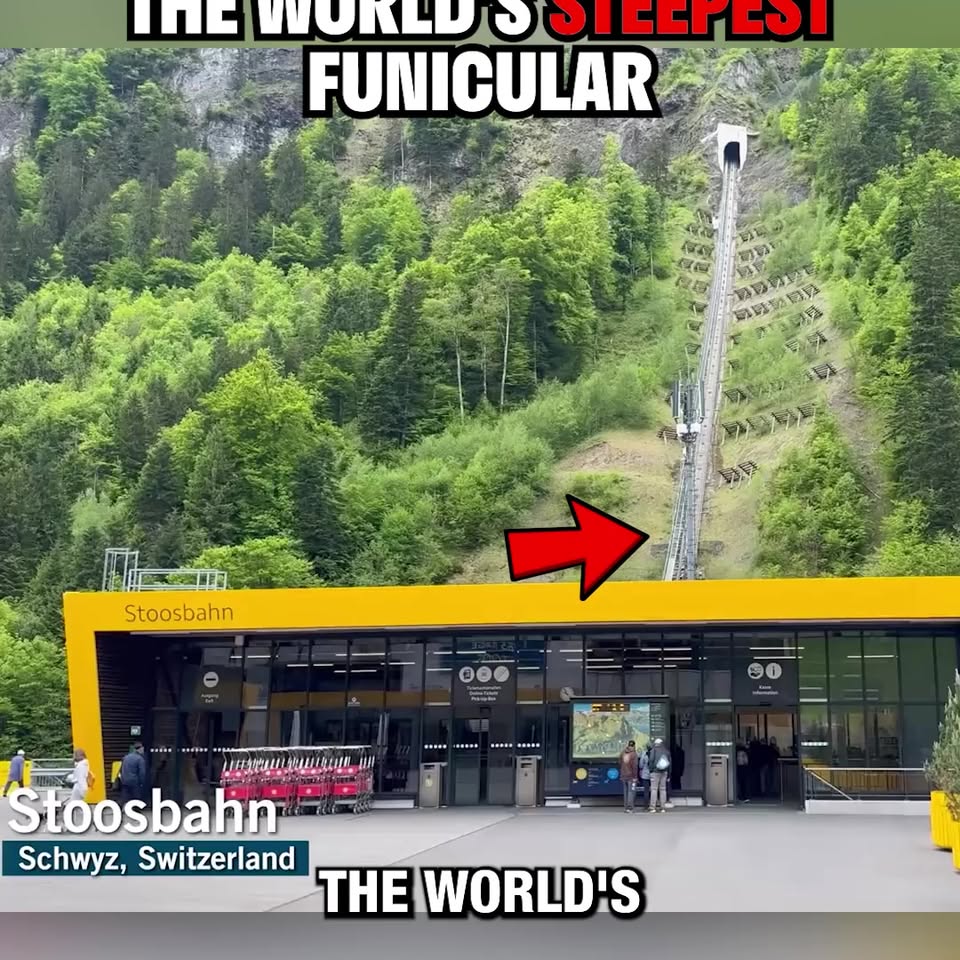Stoos Mountain Destinations and Dining
