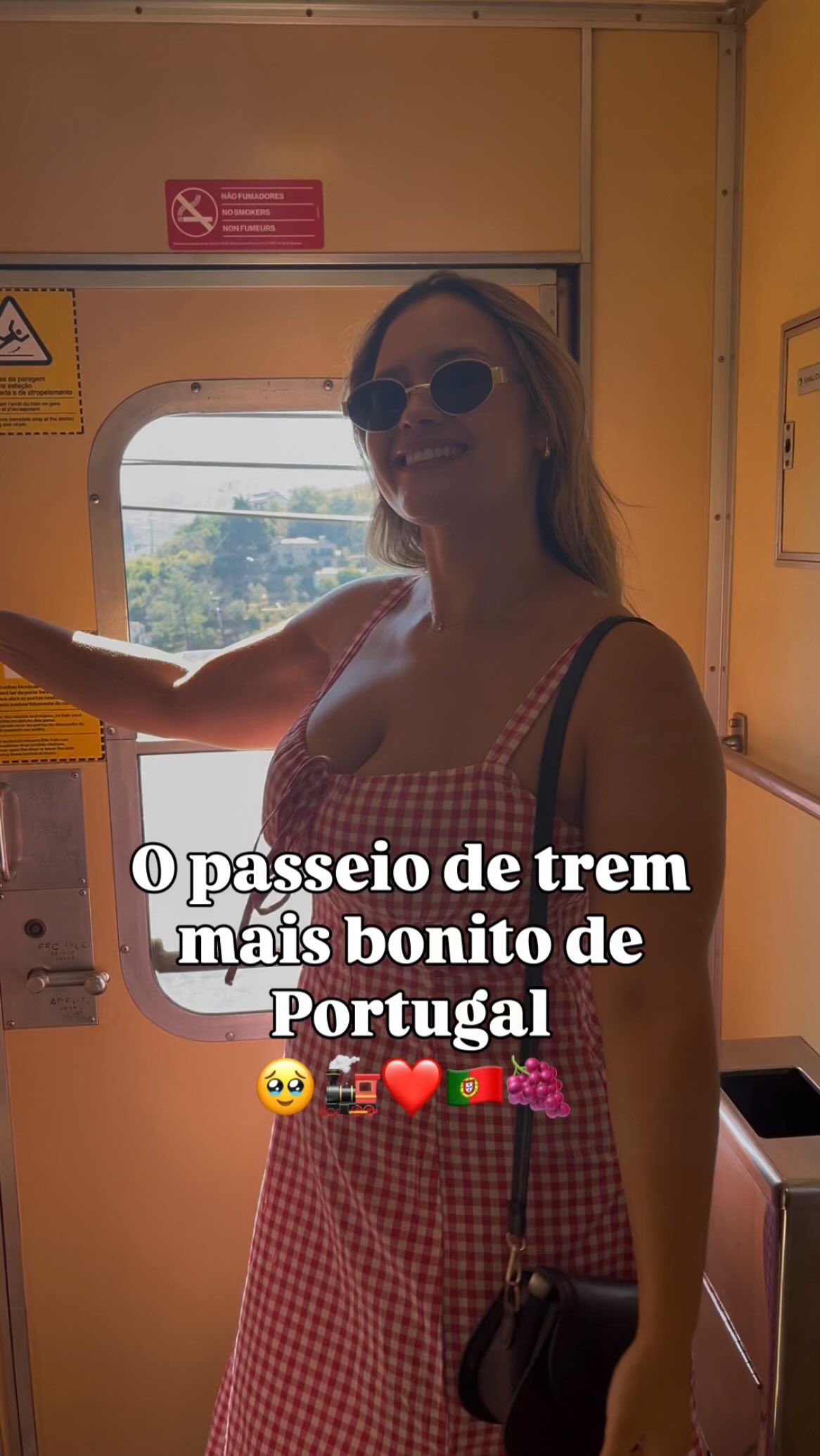 Scenic Train Journey Through Portugal's Douro Valley