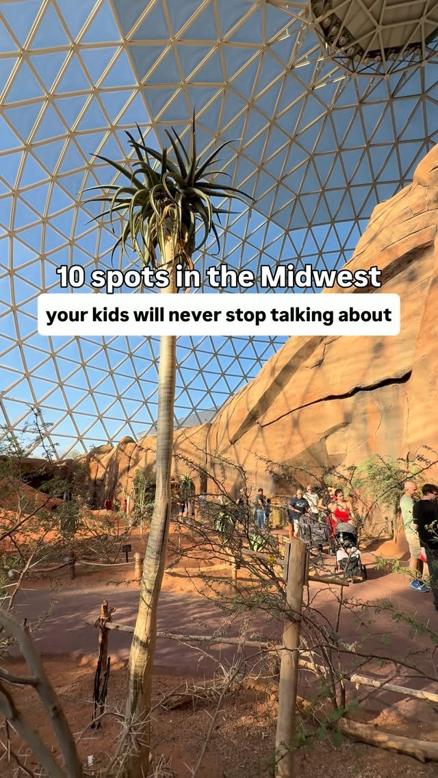 Midwest Family Fun: Zoos, Museums, and Parks