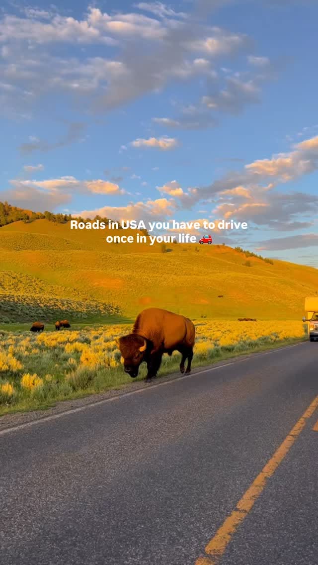 Scenic US Road Trips Showcase Diverse Natural Beauty