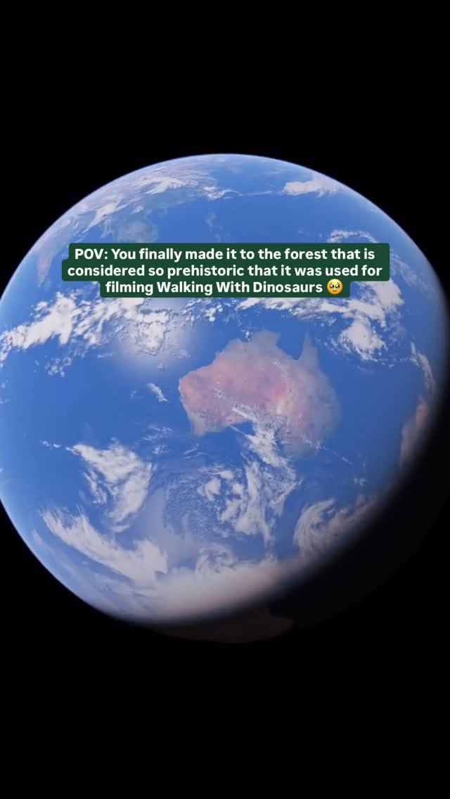 Ancient Forests of Whirinaki Te Pua A Tane
