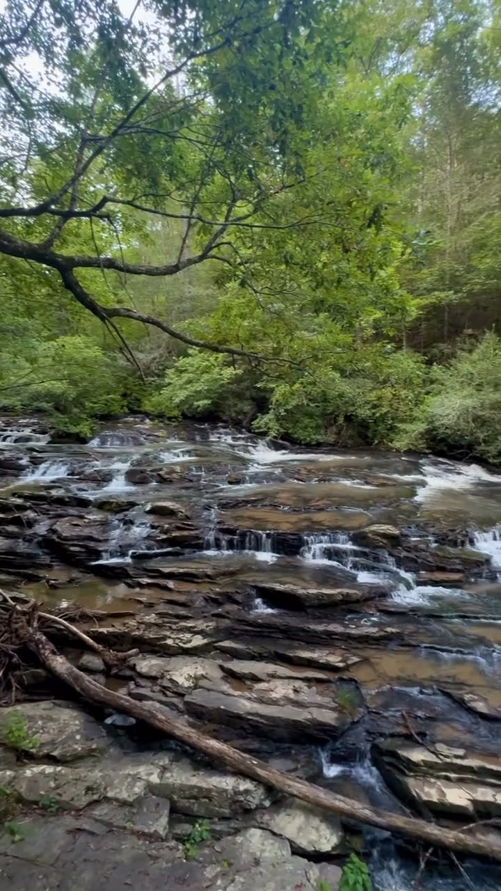 Georgia Creek Spots For Cooling Off
