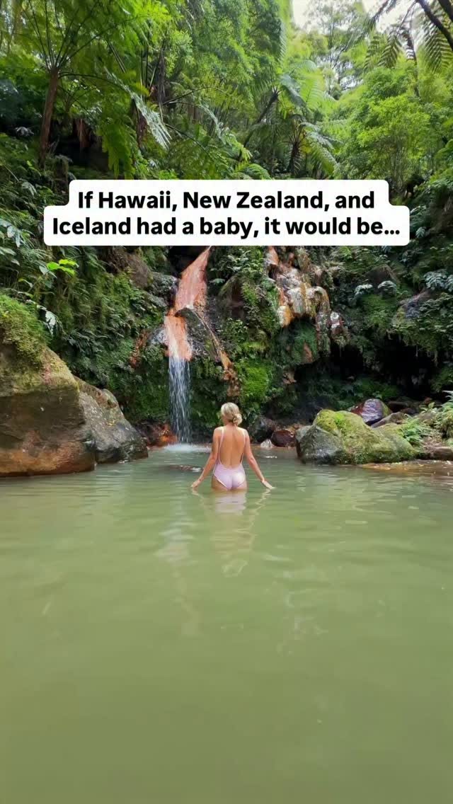 Azores Natural Wonders and Tea Factory